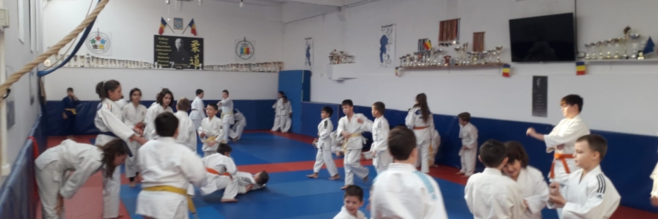 Competiție judo Bacău
